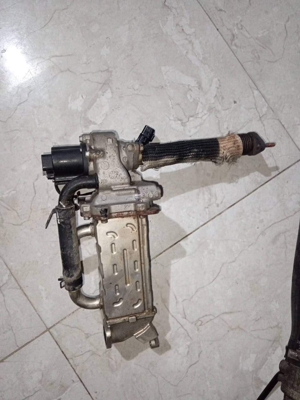 السلام عليكم شباب غراض مسكر مجول بيهن مال ستاركس وبيهن مال بنكو كلهن مال كصة شاهد الله انه فاتحهن كلمن وسعرة مكاني بصرة دور الشرطة ***********
