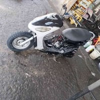 ماكس قجمه • معدل فول • سلف وهندر