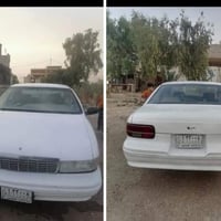 دولفين • ١٩٩١ • تحويل سنوي