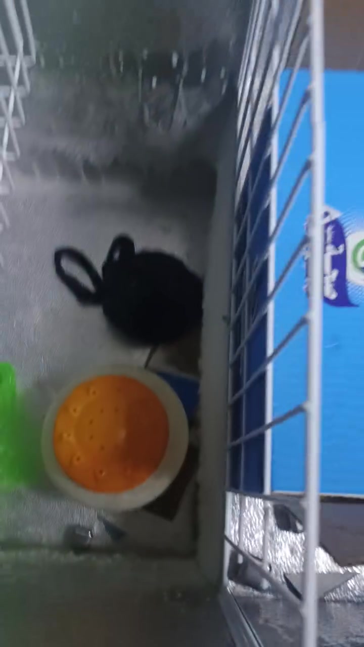 شراي يتصل ***********
