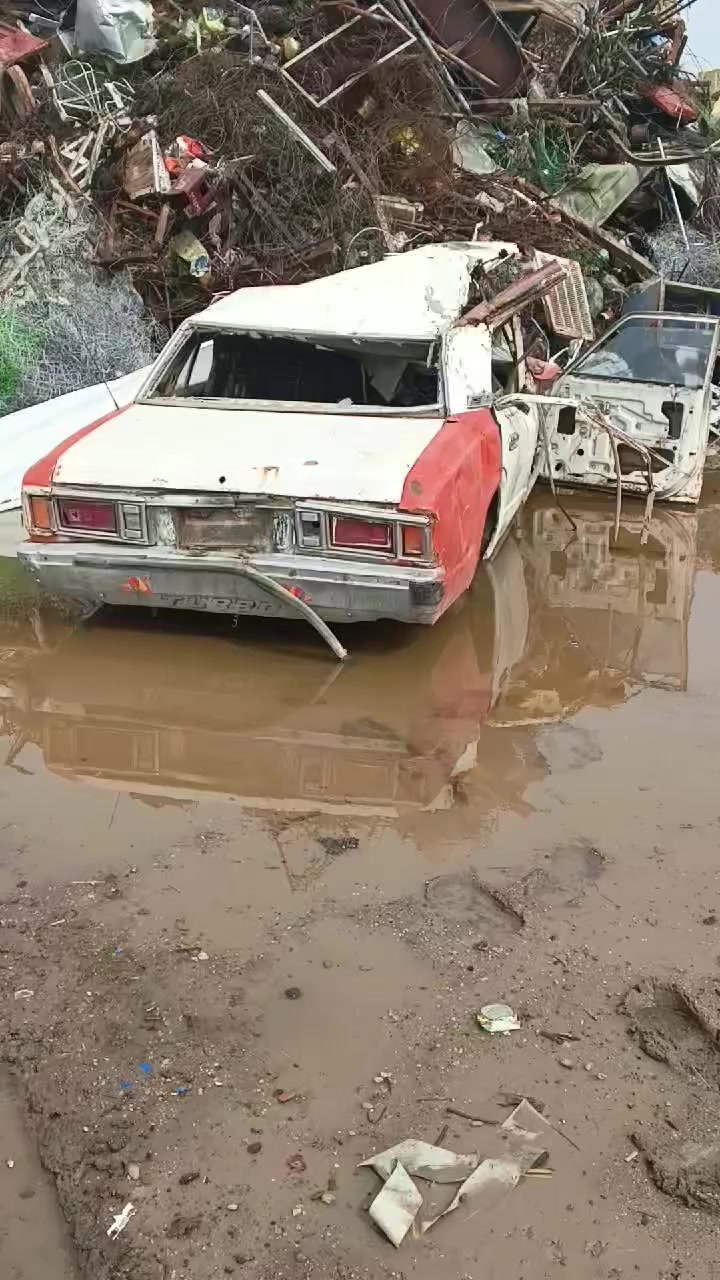 السلام عليكم اخوان هذا البدي موجود بالحله بالدبله إذا واحد محتاج منه غراض خل يراسلني قبل لا اكبسه ويه الحديد


**إذا كنت صاحب هذا الإعلان وتريد حذفه لأي سبب، رجاءا أرسل رسالة إلى الدعم الفني**