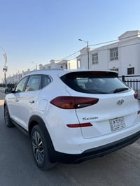 توكسان خليجي • كشنات جلد • ٢٠٢٠