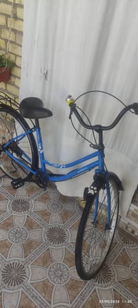 عجلة ٢٦ • للبيع