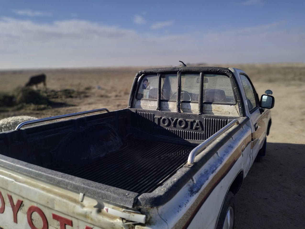 السلام عليكم  بيكم للبيع
1998لا ضربه ولا تبديل ولا صبغ
مكين لا تنقيص ولا تبخير 
شاصي مكفول تخم تاير
حداديه جديده كهربائيّات كله شغاله
سنويه ل29 رقم قادسيه مكانه كربلاء 
سعر 74وبيه مجال مراوس بكيه حمل هم 
***********
