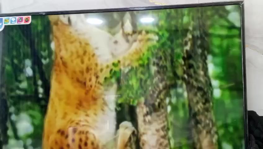 شاشه حجم 55 نوع شينون فوركي انترنت رسمي مدعوم من الشركة HDR 2120 نضافه 99/100
السعر 280 وبيها مجال مكاني 
يوجد توصيل داخل بغداد


**إذا كنت صاحب هذا الإعلان وتريد حذفه لأي سبب، رجاءا أرسل رسالة إلى الدعم الفني**