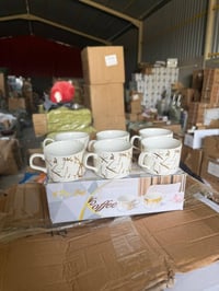 سيت اكواب • كارتون ١٢