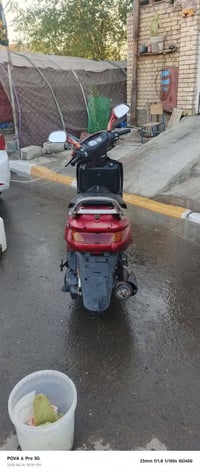 فراشة • نكره • سلف وكهرباء