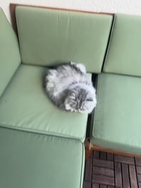 فراش جلوس خارجي لونه أخضر في حالة ممتازة، مثالي للاستخدام في الحديقة أ...