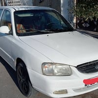 فيرنا • ٢٠١٠ • رقم أربيل