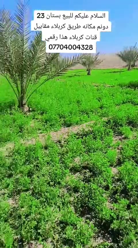 السلام عليكم للبيع بستان 23دونم مكانه طريق كربلاء مقابيل قنات كربلاء هذا رقمي ***********
