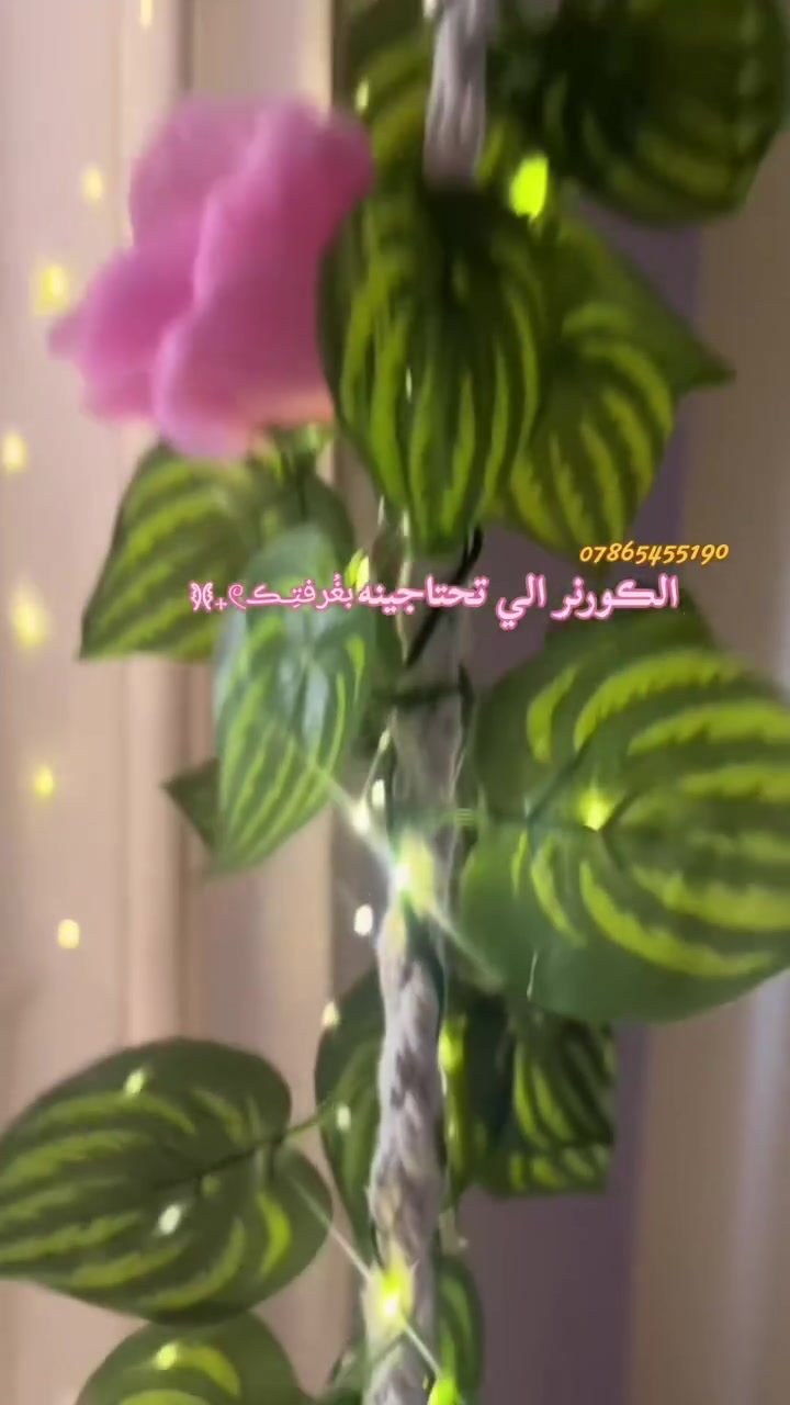 الـڪورنر الـي تحتاجينه بغرفتـڪ صار متوفر الآن𓍢ִ໋ 
•#مرجوحــة عـش𐙚
•متوفرة بعدة ألوان تناسب ديكور غرفتكِ 🎨
•السـعر:23 ألف
•أجور التوصيل لكافة أنحاء العراق🚛
• بغداد: 5,000 د.ع
• المحافظات: 6,000 د.ع
(ملاحظة: السلسلة والچنـگال متوفرات بسهولة عند أي محل إنشائية قريب منكِ)
للطـلب أو الإستفسار، تنورينـا بالدايركت 📩 غرفتكِ تستاهل هالدلال!


**إذا كنت صاحب هذا الإعلان وتريد حذفه لأي سبب، رجاءا أرسل رسالة إلى الدعم الفني**