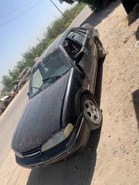 تفصيخ • برنس • مشروع مسيب