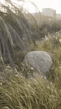 سديناويه • ٢٠٠م • ورّه الجسر