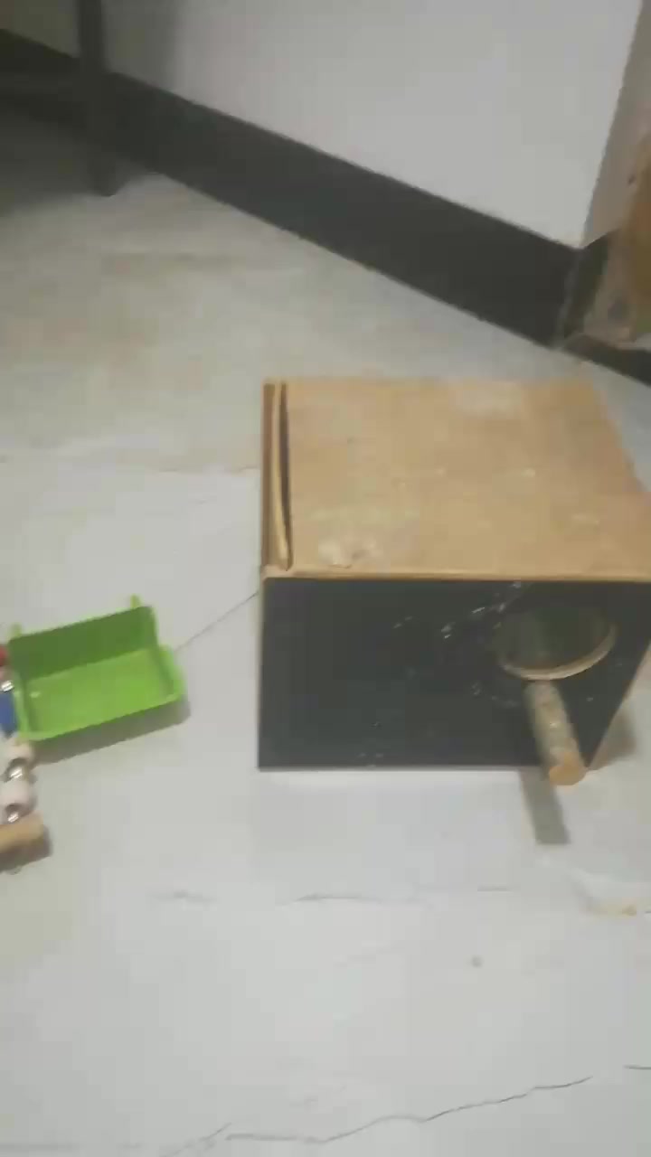 متاح حله حاضنه  واسعه ترهم طيور الحب ترهم مال كوكتيل ترهم مال نكليزي +مئكليه+مرجوحه ترهم مال طيور الحب او حيوانات تريد شلع او مفرد سعر شلع 10 مكاني الرمادي الصوفيه رقمي بي واتساب *********** لحك عل سعر او مراوس اي شي عندك تريد تراوس
