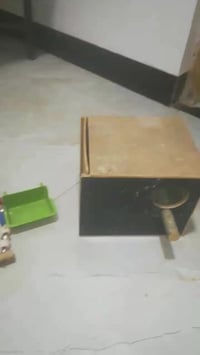 حاضنه • طيور حب • الرمادي الصوفيه