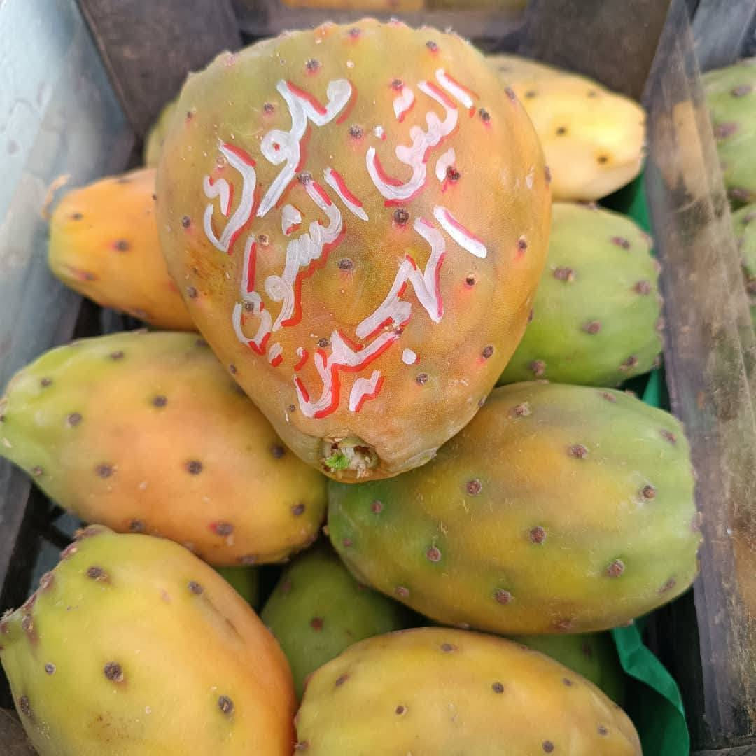 تتوفر كفوف التين الشوكي الهجين 🌿!

كل 3 كف ب 10 الف دينار 

الاحمر
الابيض
الاصفر
السكري

تتوفر خدمة توصيل جميع محافظات العراق 
5 الف جميع محافظات
للحجز واتساب او الخاص *********** عنوانه الانبار راوة
