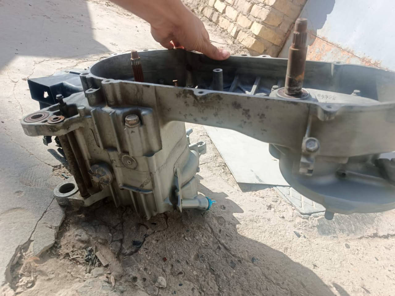 سلام عليكم فشكة سكنس جبلي للبيع سعره 100 مكاني بغداد الشعب ***********
