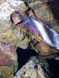 عقيق يماني • حجر كريم • تواصل خاص