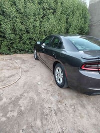 جارجر • ٢٠٢١ • كراسي جلد