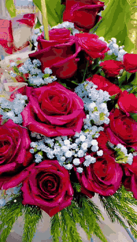 باقة هدية • ورد طبيعي • توصيل بغداد