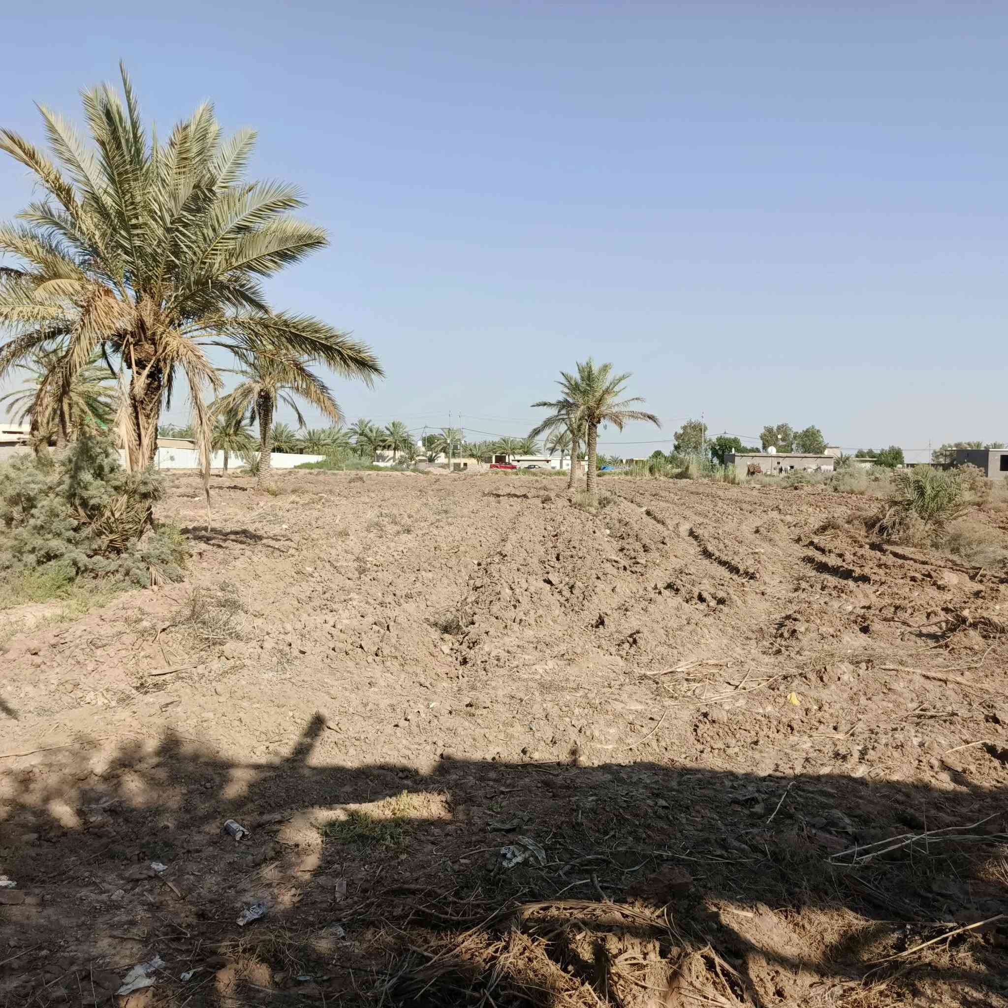 يا الله سلام عليكم البيع قطعت ارض
تتكون من 3بيوت بناء حديث استقبال بوجهن مساحة كبيرة 5 دونم طابو بستان تحويل مباشر بيهة حصة ماءية نهر بصدرهة محولة براصهة مكان صويرة قريت معامرة طريق جبلة صويرة طريق زوار الرئيسي هاذة رقم أبو علي العجياوي ***********/***********

