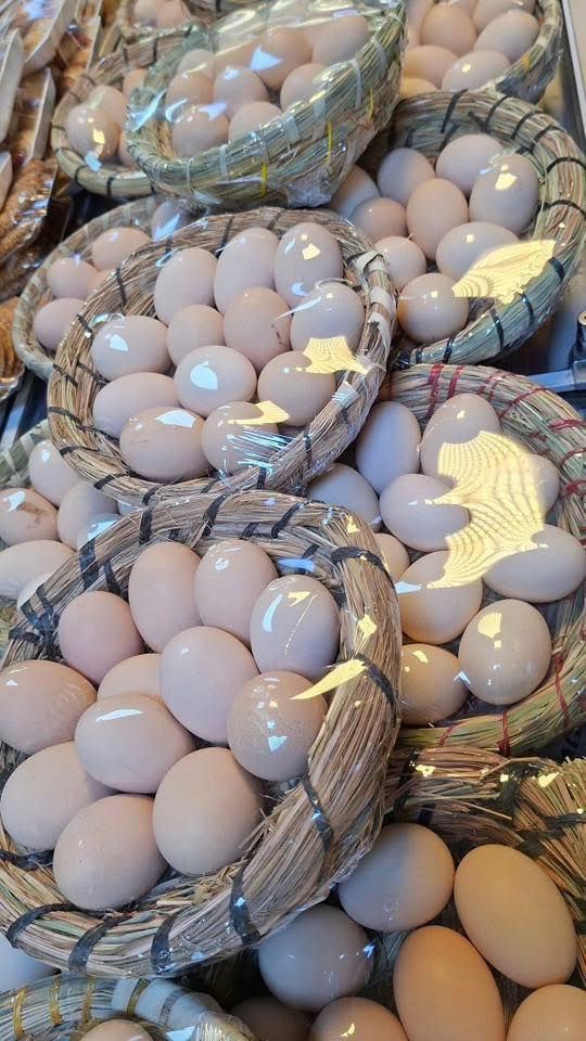 بيض احمر عراقي وزن ٢٦ السعر ٧٥ 
بيض احمر عراقي وزن ٢٣ السعر ٧١ 
بيض ابيض عراقي وزن ٢٦ السعر ٦٦ 
بيض ابيض عراقي وزن ٢٥ السعر ٦٥ بيض ابيض عراقي وزن ٢٤  ونص السعر ٦٤ 
 بيض ابيض وزن ٢٣ السعر ٦٢ 
بيض عرب سله صفارين ٥٠٠٠
***********
***********
