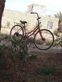 دراجة • مراوس • الغراف