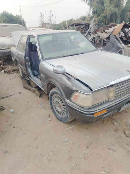 تفصيخ أرنب مكان بابل مشروع مسيب *********** يحتاج غراض يتصل
