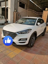 توسان ٢٠٢٠ • بلا صبغ • رقم اربيل