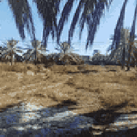 حي الزهراء الثاني • قطعتين • ٢٥٠م