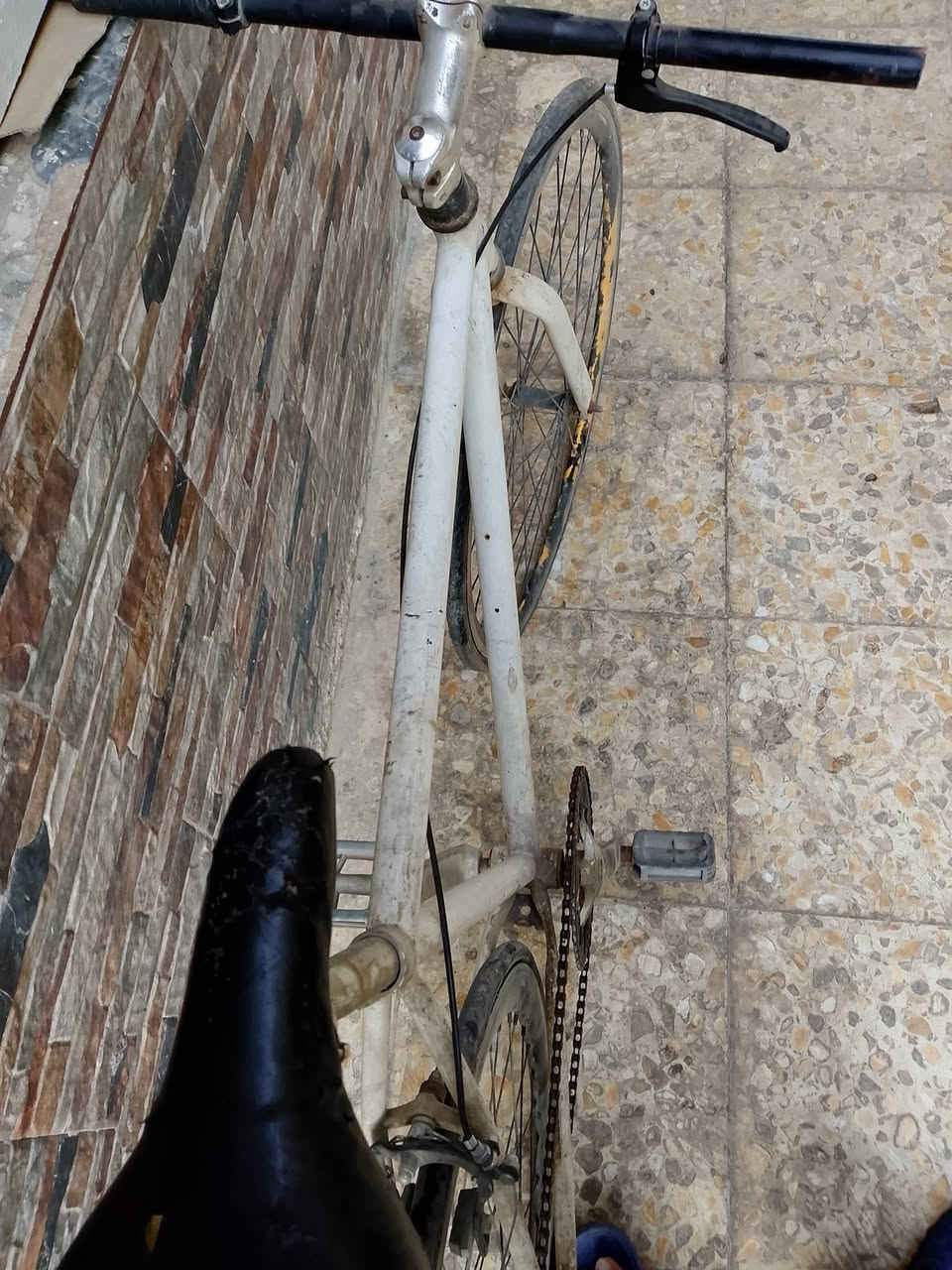 لسلام عليكم باسكل فكسد النقوصات جوب خلفي والزنجيل يفلت بسرعه الوياله المنيوم السعر 30 الف وبي مجال حك الجيه المكان بغداد الزعفرانية موجود واتساب
*********** او مراوس بناتي وانطيك فرق
