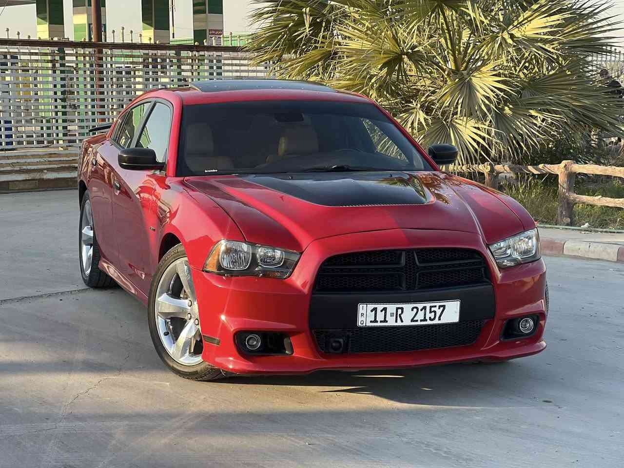 2014. Rtmax 5700.
بصمه فتحه شاشه كامره رادار امامي وجانبي. 
مري قلاب هيتر. رادار  كلاصات تدفئه تبريد  
كشنات امامي وخلفي تدفئه تبريد 
كشنات كهرباء ذاكره  وباقي المواصفات المعروفه 
عليه كت Srt كامل.     بدون ايرباك.    عداد 93mi
امريكا. دور جاملغ خلفي وباب بالعراق صبغ جاملغ امامي 
مكينه كير حداديه تبريد كهربائيات كله جاهز. اكزوز كاتم بلادي 
السعر.   155.  وبي مجال وبخدمتك بيع او مراوس مكاني بابل
***********. ***********
