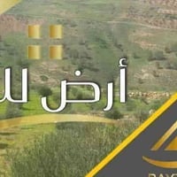 حي فلسطين • ١٣٥م • ٦×٢٢٫٥