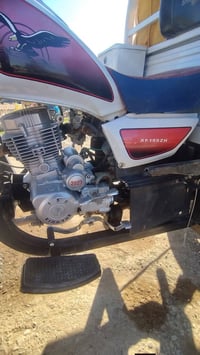 ستوته 2023 • تحويل مباشر • جلولاء