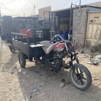 ستوته • ام تي ار • اوراق سنويه