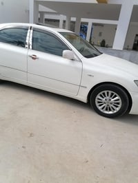 شاهينه • ٢٠٠٦ • رصاصي