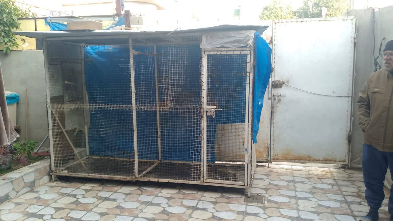 قفص للبيع رتفاع١٨٠عرض٨٠طول ٢٥٠سعر ٦٥بي مجال للشراي ***********
