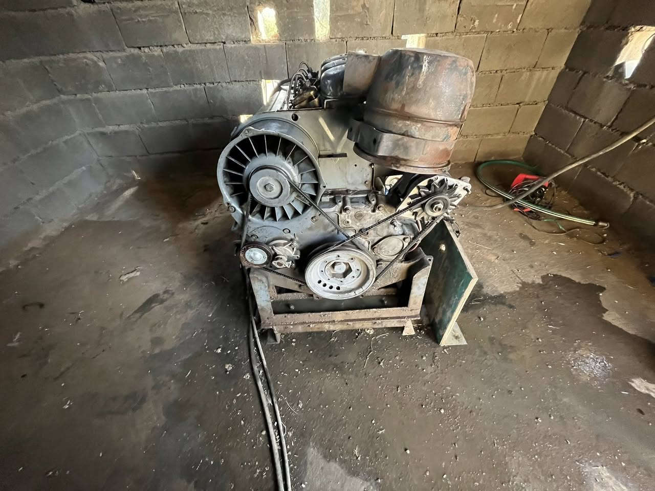 السلام عليكم 
دويس حجم 912 
لل بيع مولدة 24 كيفي 
***********عنوان تكريت 
سعر 17ورقه
