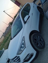 سنتافيا فول • ٢٠١٦ • ٧ راكب