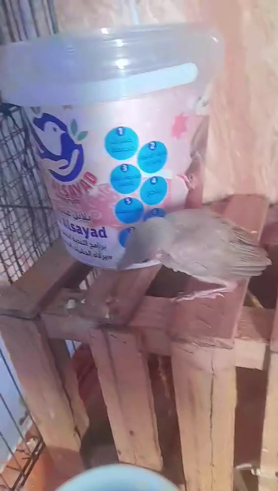 ذاكر سعر بل فيديو


**إذا كنت صاحب هذا الإعلان وتريد حذفه لأي سبب، رجاءا أرسل رسالة إلى الدعم الفني**