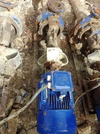 ماطورين 15 حصان صيني وثلاث خنازير 5فى4 للبيع للمعلومات الاتصال على 078...