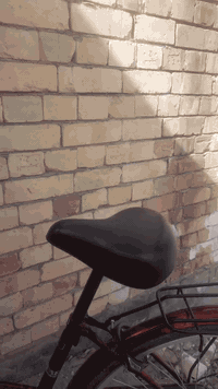 كربلاء • باسكل • ٢٦