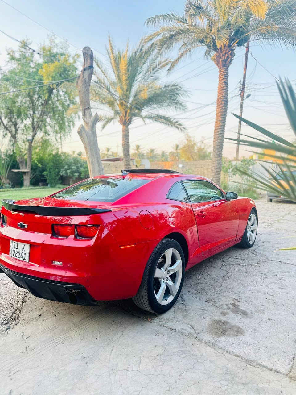 ترهم اقساط مقدمه 50 ورقه
 سكنة بغداد خارج بغداد مابيع 
رقم بغداد بسمي تحويل مباشر 
كمارو موديل 11 بچم (ZL1) فول مواصفات اعلى مواصفات بالكمارو 
فتحه سقف كراسي جلد كهربائيات تشغيل عن بعد 
حساسات خلفيه 
داتشوو مثبت سرعه لد امامي محرك 6 سلندر كير ومحرك مكفول حداديه امامي وخلفي جديد صبغ جاملق يمنه وشويه بالجاملق اليسره بنيد مبدل فايبر
 نقص تصليح  دوشمه للكشنات اماميه 
عنواني بغداد سعرها النقد 72 وبيه مجال 
***********
