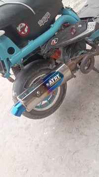 صالنصه حلزونيه للبيع مامتواجد خاص  07733654891