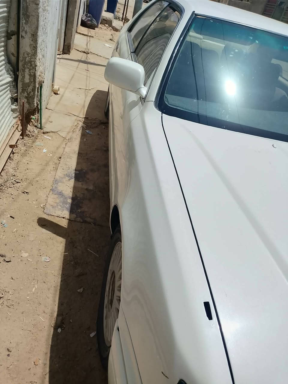 لبيع راس ثور قماره بسمي سنوات 2028📞*********** سعر 75بيه مجال  جاهزه سياره
