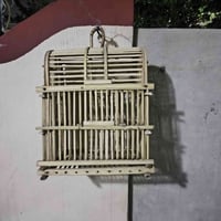 ئەم قەفەسە بۆ فرۆشتن شتێکی تازە جوانە سعری10مەعامە07701995516