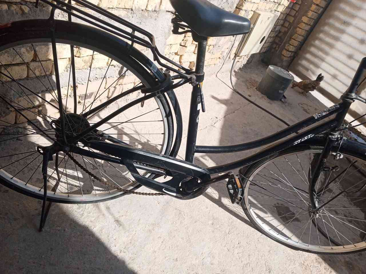 با سكل بناتي حجم 27  زين القوس


**إذا كنت صاحب هذا الإعلان وتريد حذفه لأي سبب، رجاءا أرسل رسالة إلى الدعم الفني**