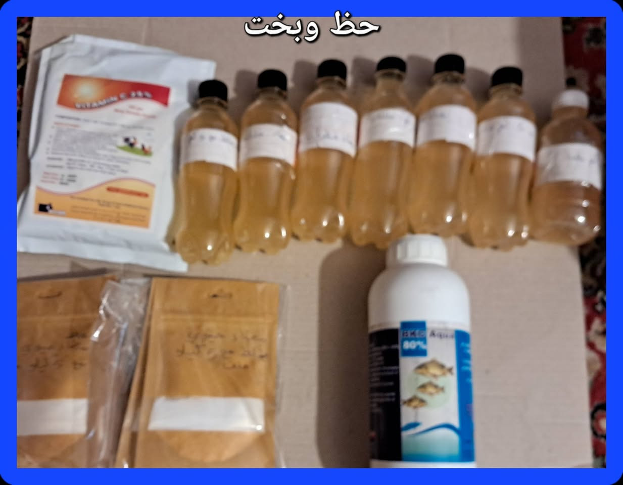 مع المكتب الاستشاري  لماعدة مربي الاسماك، واتساب ***********
تتوفر كافة العلاجات للاسماك ضد الفطريات والطفيليات والطحالب والبكتريا واتساب ***********
