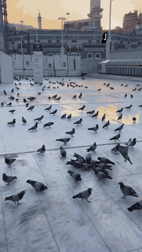 عمرة العطلة الربيعية • جوار الحرم • مقاعد أخيرة