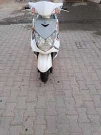 دراجة • سكنس فحل نوزل • بغداد الشعب